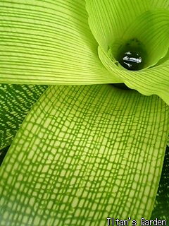 b0099813_203324100.jpg