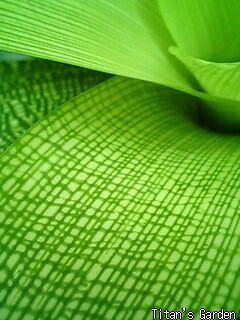 b0099813_20332426.jpg