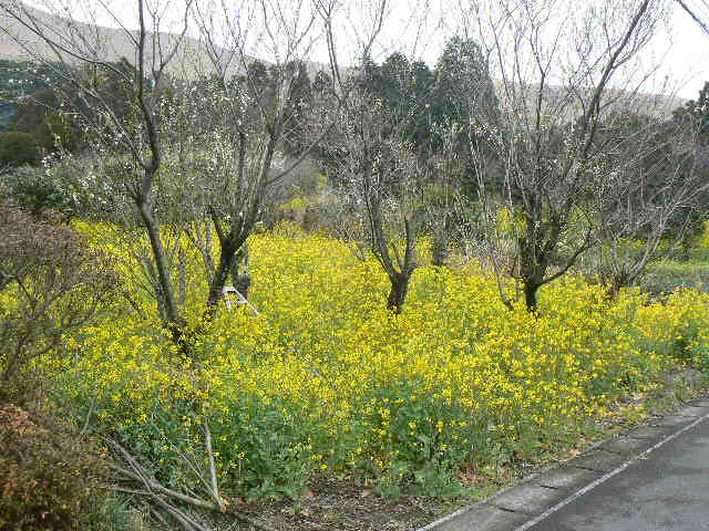 f0131120_11295526.jpg