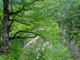 f0000521_14135079.jpg
