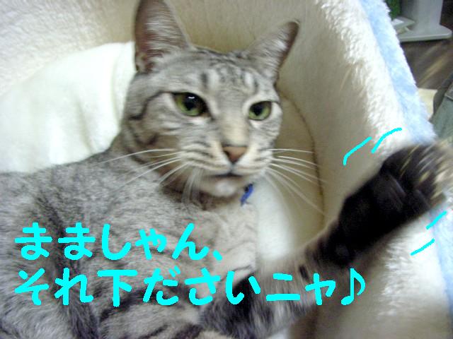 d0081025_22594429.jpg