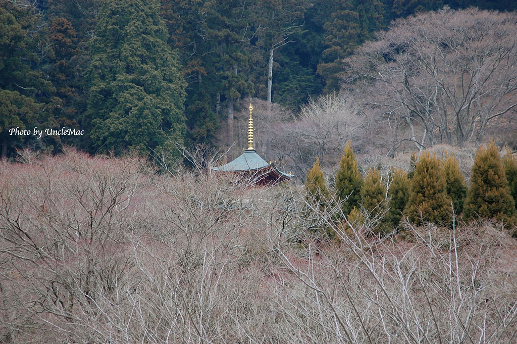 e0028625_22474039.jpg