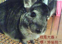 c0112140_19512749.jpg