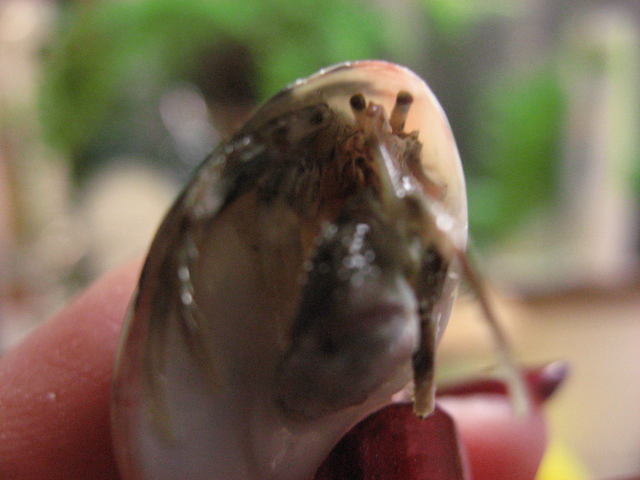 b0097747_10121144.jpg