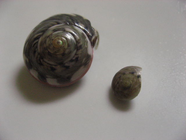 b0097747_10122244.jpg