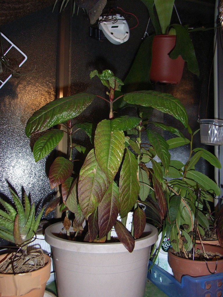 b0029648_19325055.jpg