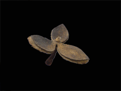 e0005548_0215336.gif