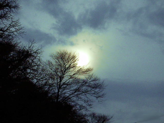 c0031856_891331.jpg