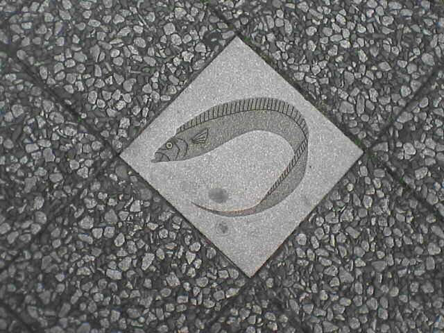 c0069380_21175133.jpg