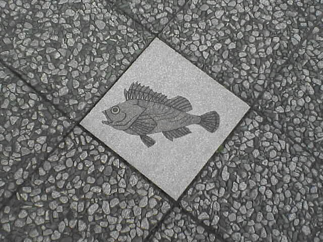 c0069380_2117820.jpg