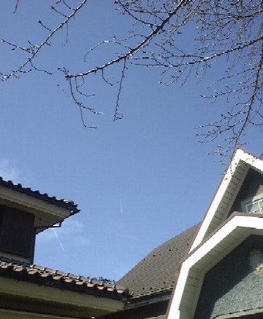 f0039281_7214982.jpg