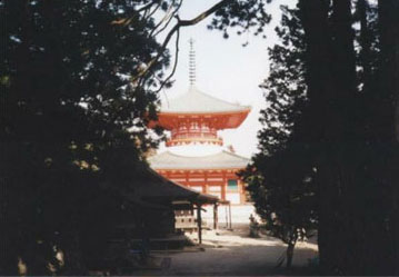 f0004387_253179.jpg