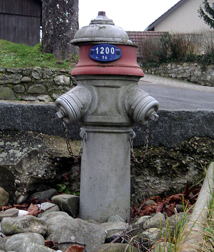 b0038588_22271721.jpg