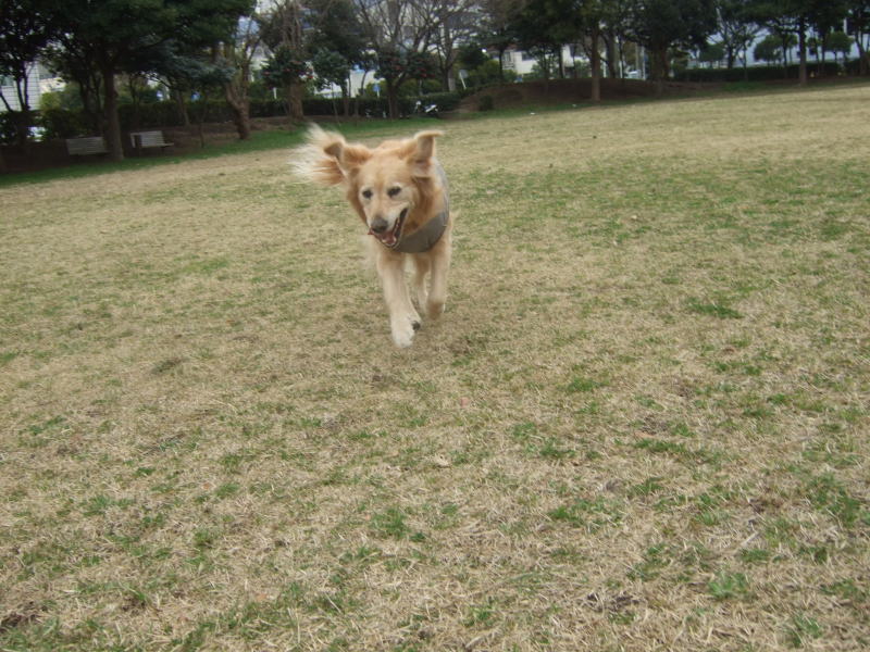 c0104492_0453190.jpg