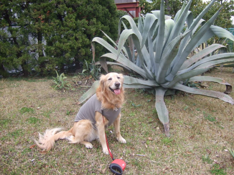c0104492_0472210.jpg