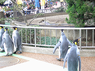 f0032194_1012217.gif