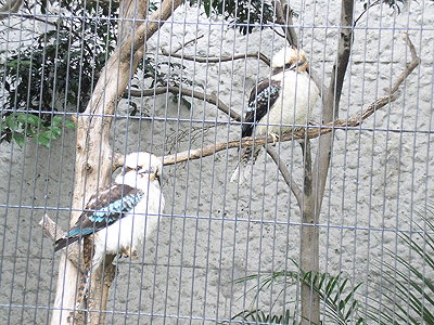 f0032194_10132114.gif