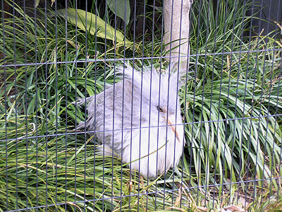 f0032194_10135257.gif
