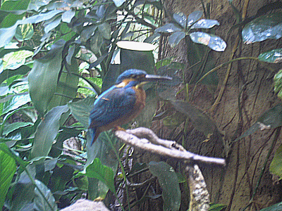 f0032194_1018410.gif