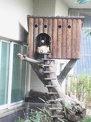 f0032194_9514494.gif