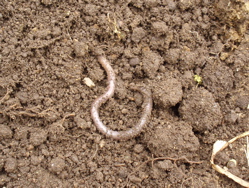 f0130894_17572613.jpg