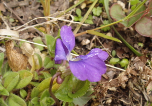 f0130894_1821816.jpg