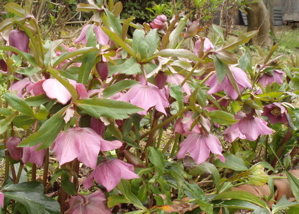 f0130894_182252.jpg