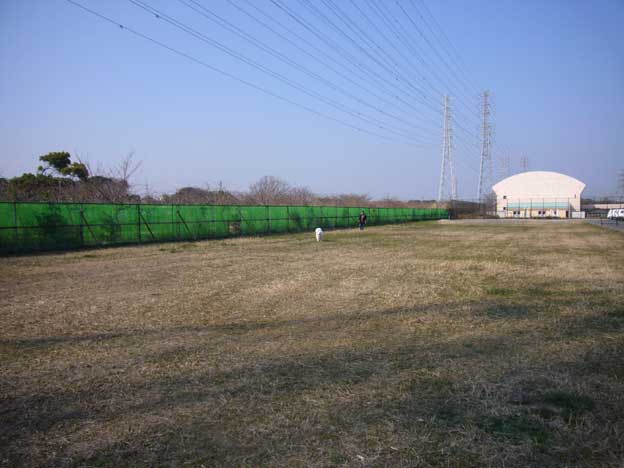 e0018604_1924145.jpg