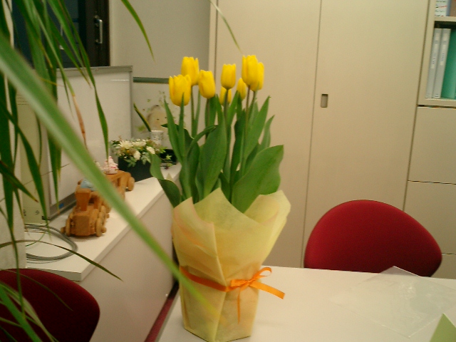 a0019212_1413794.jpg