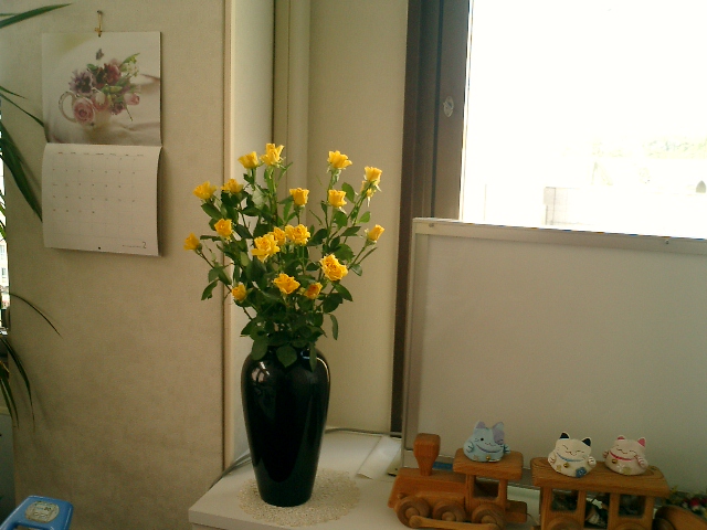 a0019212_1432366.jpg