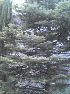 f0049813_10271884.jpg