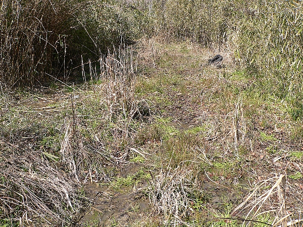 e0002314_17571623.jpg