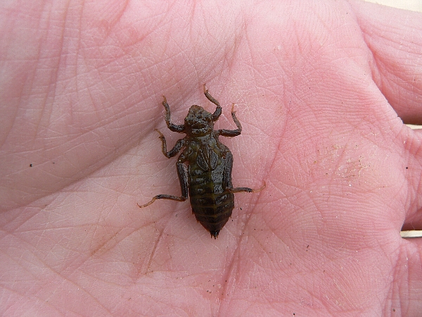 e0002314_18102530.jpg