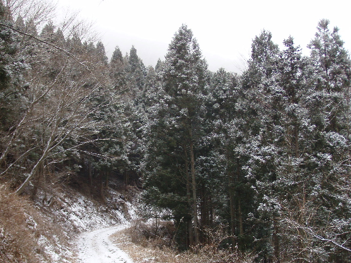 f0103126_2202153.jpg