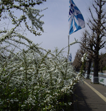 f0128527_9201262.jpg