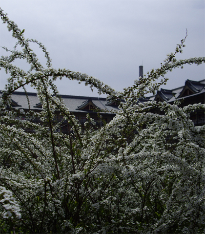 f0128527_9224541.jpg