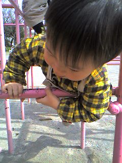 b0053433_6522755.jpg