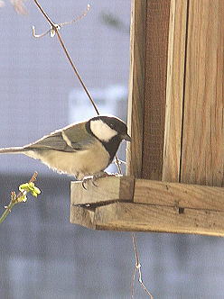 f0042135_8295575.jpg