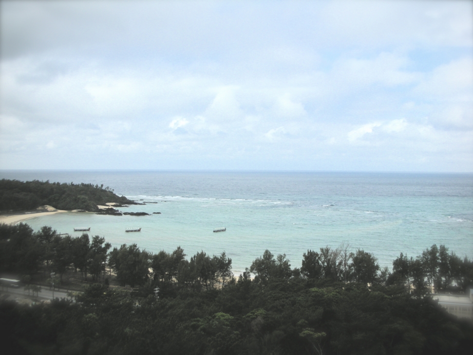 a0072337_237499.jpg