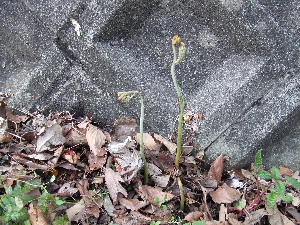 a0054240_21221099.jpg