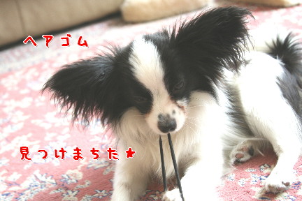 d0013149_0544215.jpg