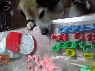 b0005652_1853949.gif