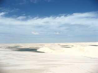 a0073360_8583610.jpg