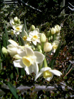 f0061067_15435745.jpg
