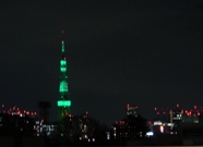 c0102268_23391581.jpg