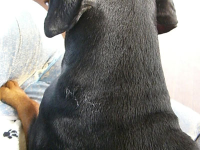 f0025769_13304644.jpg