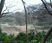 e0037673_23491464.jpg