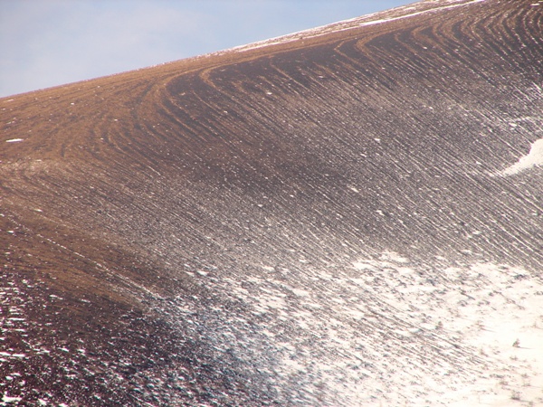 b0011185_22494094.jpg