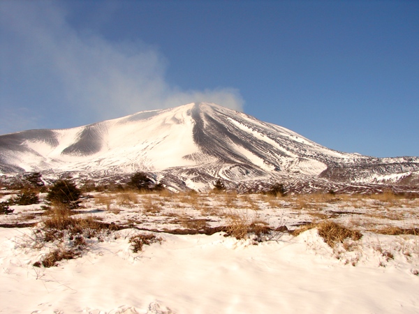b0011185_22495380.jpg