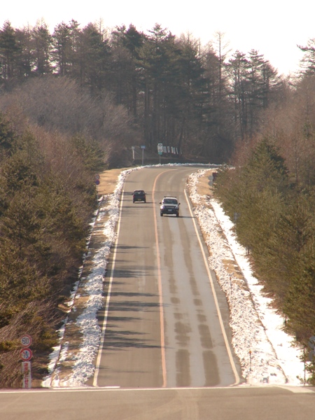b0011185_2250690.jpg